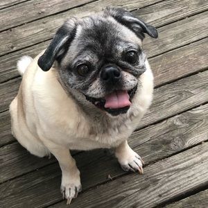 Meet your Posher, Katy